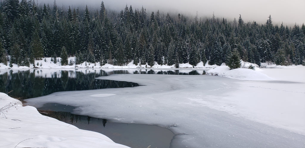 Hike 7: Gold Creek Pond