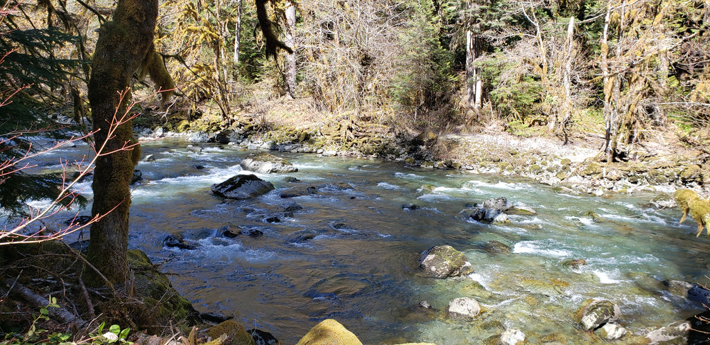 Hike 13: Staircase Rapids Loop