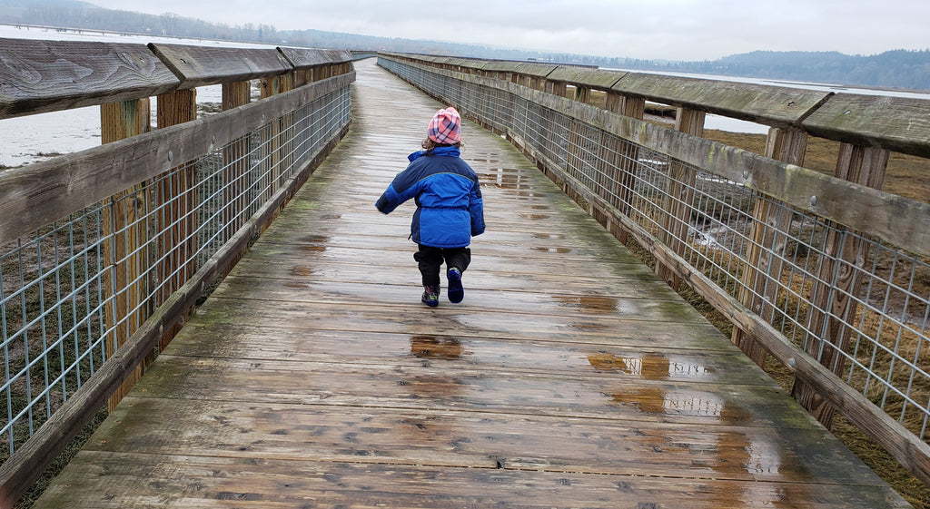 Hike 6: Nisqually Estuary Boardwalk and Twin Barns Trail